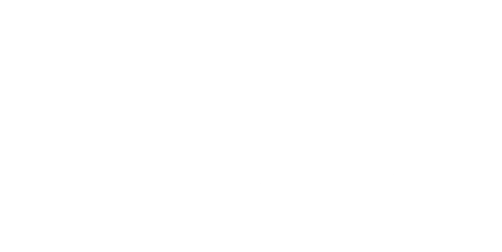 logo light